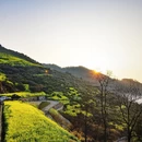 黄山旅游 缩略图 6