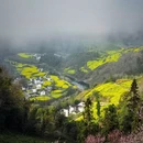 黄山旅游 缩略图 5