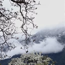 阿坝旅游 缩略图 10