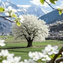 阿坝旅游 缩略图 5