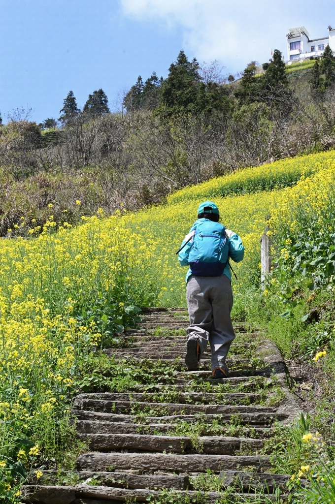 黄山旅游
