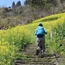 黄山旅游 缩略图 1
