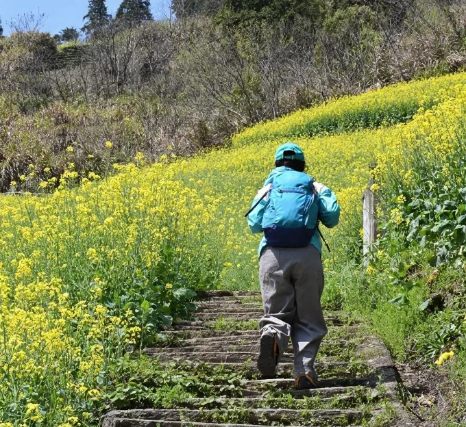 黄山旅游 1