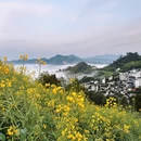 黄山旅游 缩略图 1