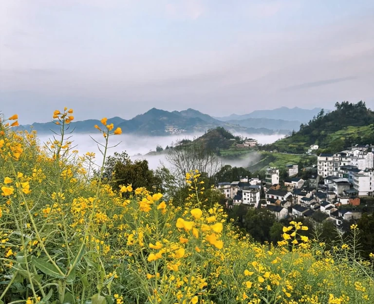 黄山旅游 1