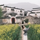 黄山旅游 缩略图 1