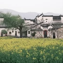 黄山旅游 缩略图 2