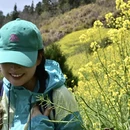 黄山旅游 缩略图 5