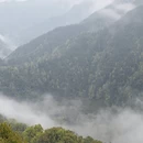 黄山旅游 缩略图 2