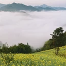 黄山旅游 缩略图 4