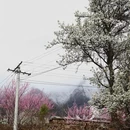 阿坝旅游 缩略图 11