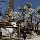 阿坝旅游 缩略图 14