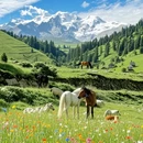 阿坝旅游 缩略图 6