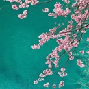 阿坝旅游 缩略图 7