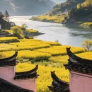 黄山旅游 缩略图 9
