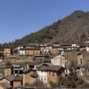 黄山旅游 缩略图 13