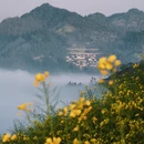 黄山旅游 缩略图 8