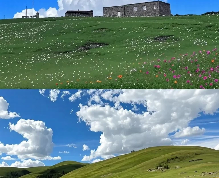 阿坝旅游 1