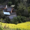 黄山旅游 缩略图 10