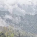 黄山旅游 缩略图 10