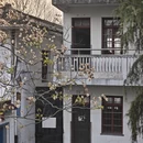 黄山旅游 缩略图 3