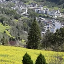 黄山旅游 缩略图 16