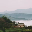 黄山旅游 缩略图 15