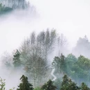 黄山旅游 缩略图 17