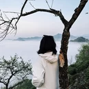 黄山旅游 缩略图 18