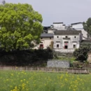 黄山旅游 缩略图 11