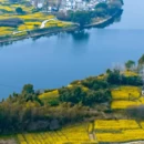 黄山旅游 缩略图 1