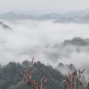 黄山旅游 缩略图 6