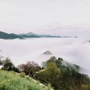 黄山旅游 缩略图 9