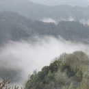 黄山旅游 缩略图 8