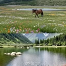 阿坝旅游 缩略图 2