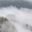 黄山旅游 缩略图 7