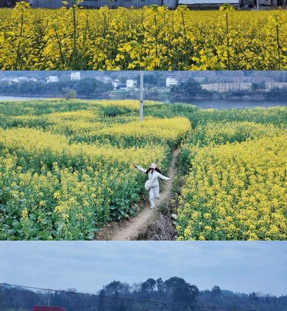 黄山旅游 1
