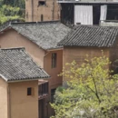 黄山旅游 缩略图 13