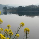 黄山旅游 缩略图 3