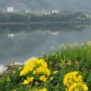 黄山旅游 缩略图 2