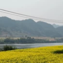 黄山旅游 缩略图 4