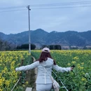 黄山旅游 缩略图 18