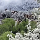 阿坝旅游 缩略图 2