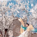 阿坝旅游 缩略图 5