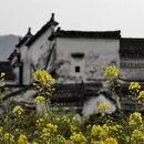 黄山旅游 缩略图 1