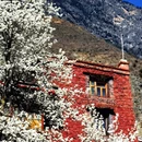 阿坝旅游 缩略图 5