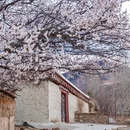 甘孜旅游 缩略图 7