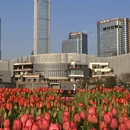 苏州旅游 缩略图 4