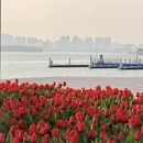 苏州旅游 缩略图 2