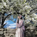 阿坝旅游 缩略图 2
